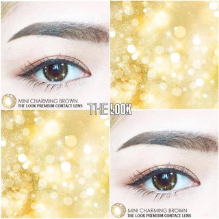 Kính áp tròng Nâu tây xám tây long lanh MINI CHARMING