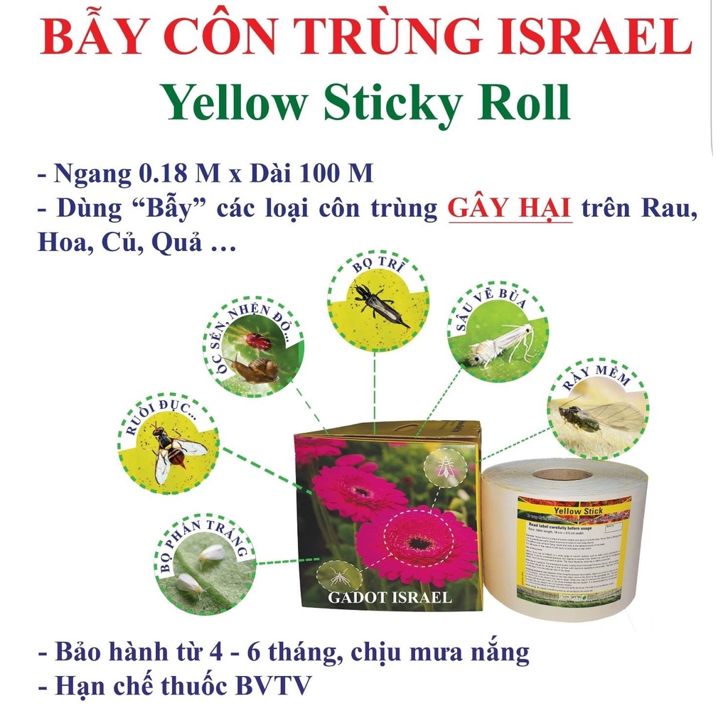 01 Miếng dán bẫy ruồi vàng 2 mặt - kt 18x22 cm cắt lẻ  từ Gadot Israel !