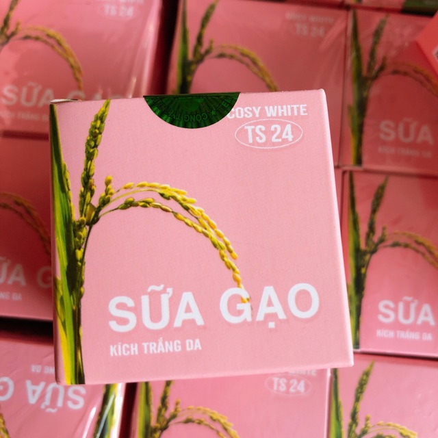 Kích trắng B10 Sữa Gạo
