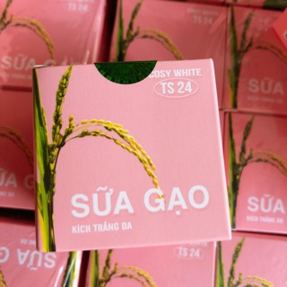 Kích trắng B10 Sữa Gạo