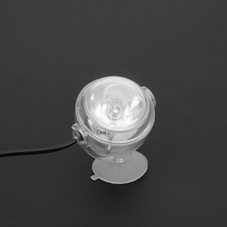 Đèn Led Mini Hình Cá Nhiệt Đới Độc Đáo
