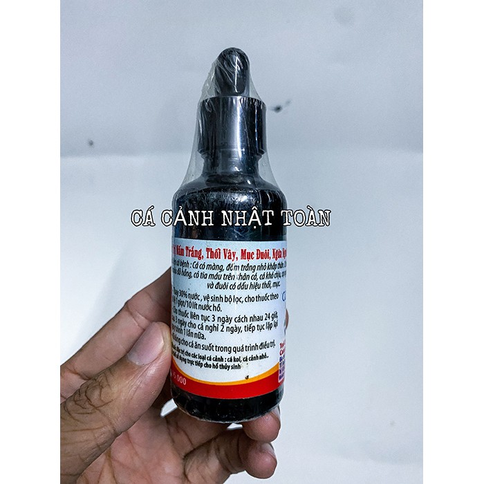 HỖ TRỢ NẤM TRẮNG, THỐI VÂY, MỤC ĐUÔI, NGỨA TRÊN THÂN CÁ CẢNH CÁ XINH AQUARIUM