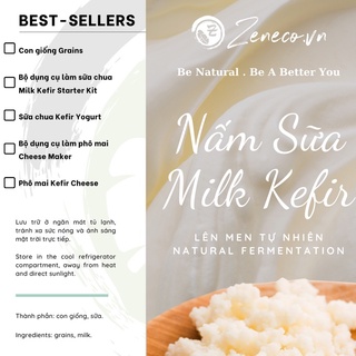 Nấm sữa Milk Kefir làm sữa chua - phô mai | Milk Kefir For Making Kefir Yogurt - Cheese