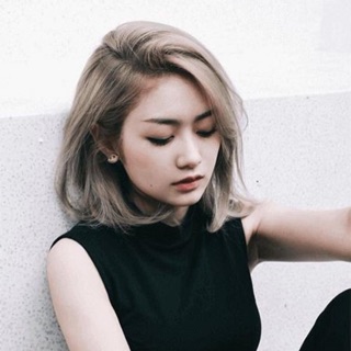 Hamster Đoàn Kết