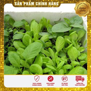 -35K COMBO 10 LOẠI RAU CẢI VỤ THU ĐÔNG