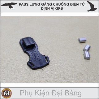 Pass gắng định vị, pass gắng chuông điện tử, phụ kiện nuôi chim đại bàng