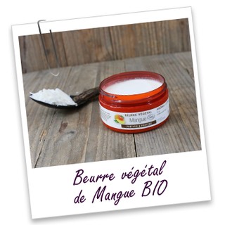 Bơ xoài nguyên chất BIO