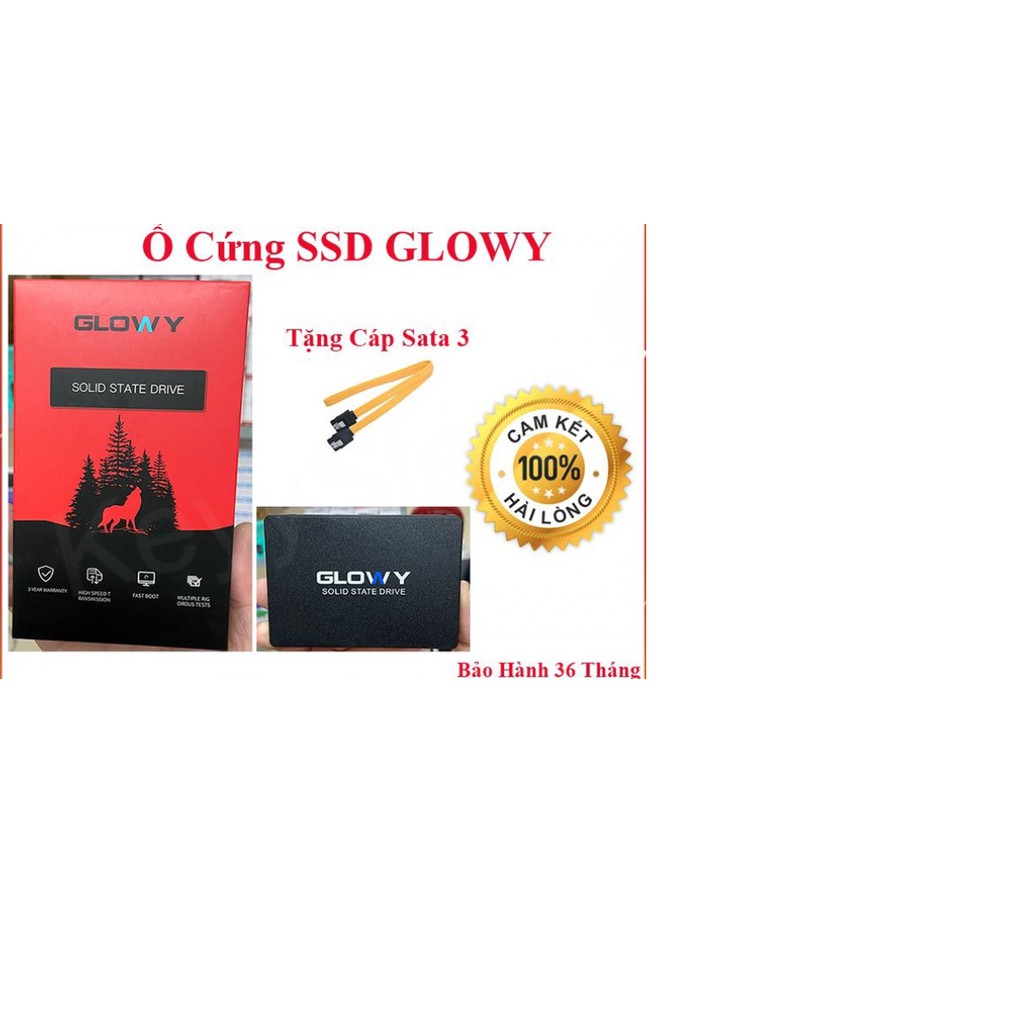 Ổ cứng SSD Glowy chính hãng bảo hành 3 năm