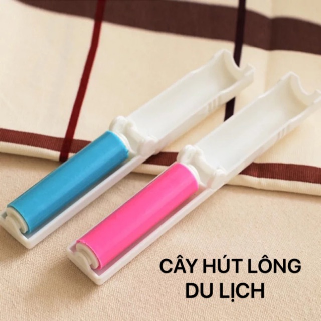 Cây hút / lăn lông - bụi thú cưng