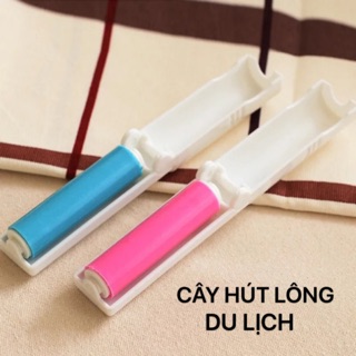 Cây hút / lăn lông - bụi thú cưng