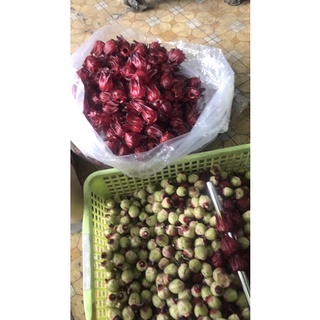 Hoa atiso , hibicus tách hạt
