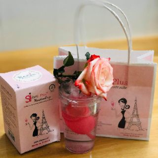 CỐC NGUYỆT SAN SI-BELL