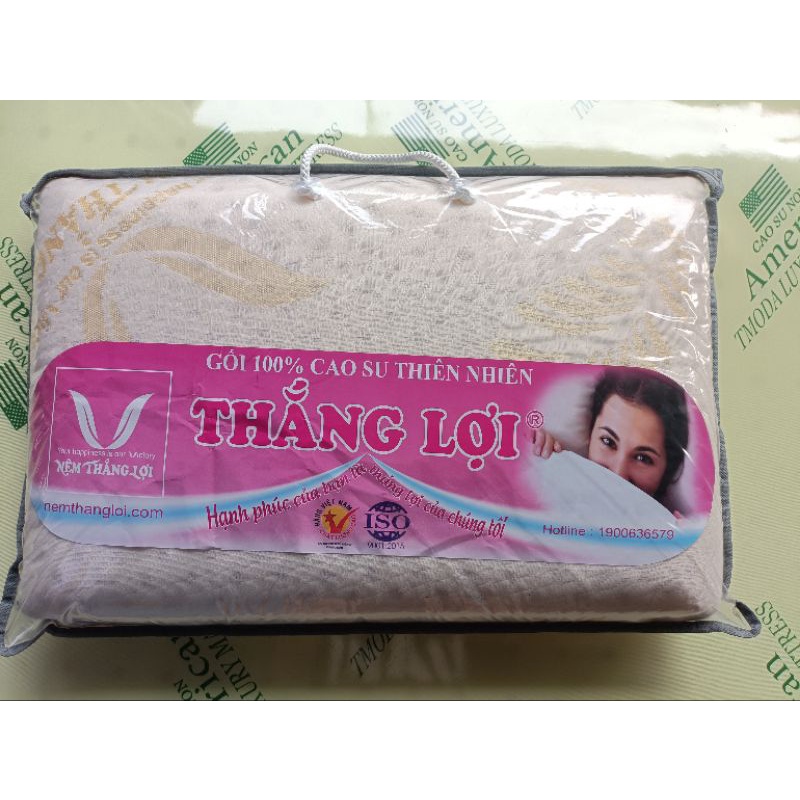 Gối nằm cao su thiên nhiên Thắng Lợi 100%