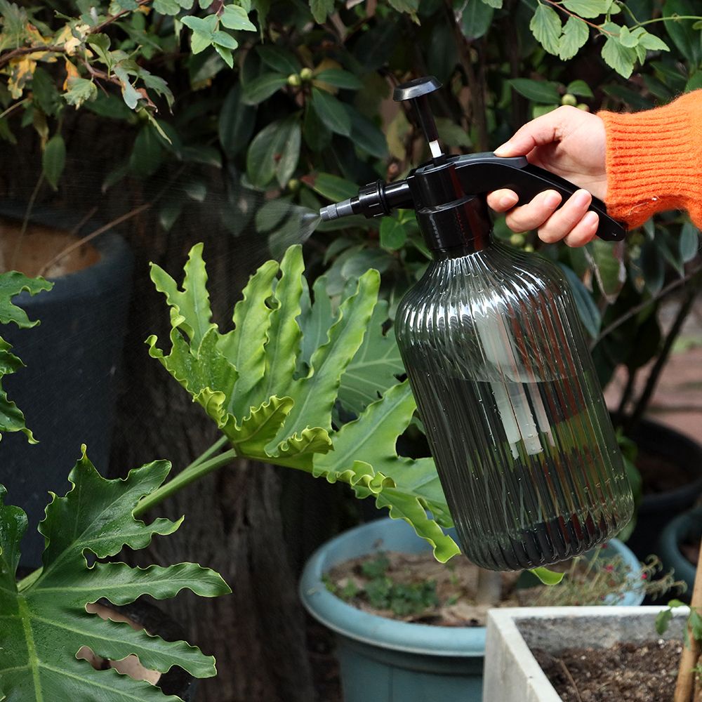 Bình xịt nước tưới cây áp suất cao dung tích lớn 2L tiện dụng
