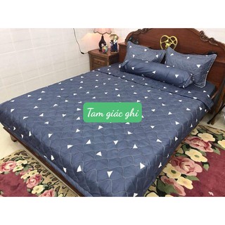 Sỉ HCM Chăn Hè Trần Bông Vải PoLy Việt hoa lan tím,chọn mẫu trên bài