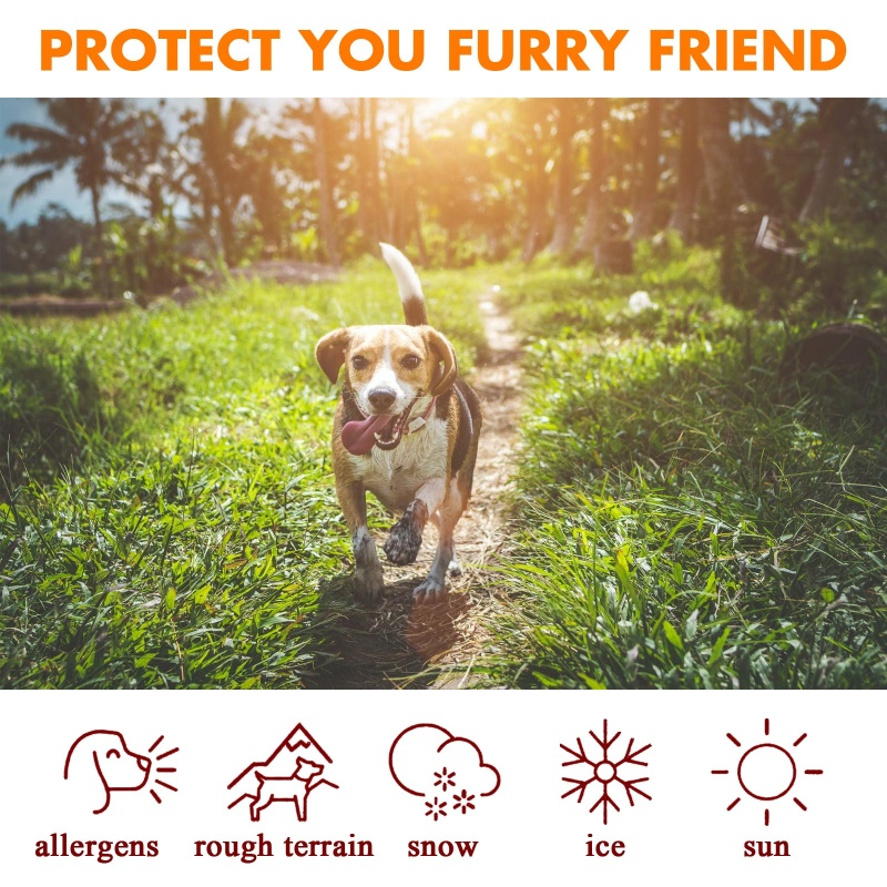 Lucky Đệm Dưỡng Da Chân Chó Tự Nhiên Làm Dịu Vùng Mũi & Khô Nứt Nẻ Dưỡng Ẩm