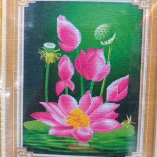 Tranh đính đá hoa sen 50x64 df2229