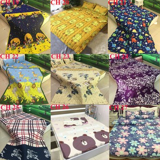 ( GIẢM MẠNH ) SÉT 4 MÓN CHĂN HÈ TRẦN BÔNG POLY TRÁI LÊ