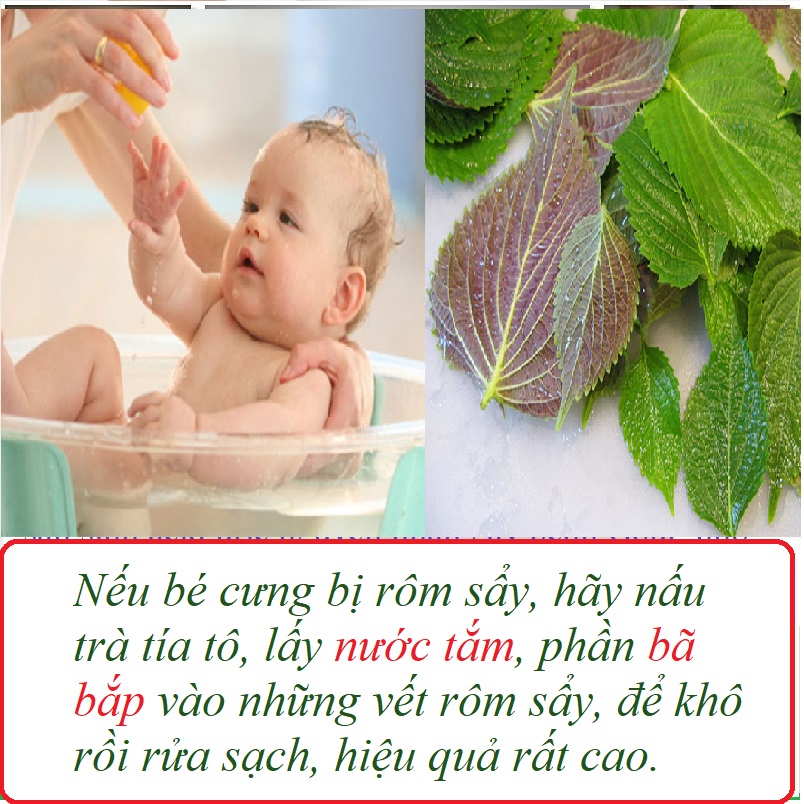 Trà TÍA TÔ - giảm MỤN - NÁM, TÀN NHANG