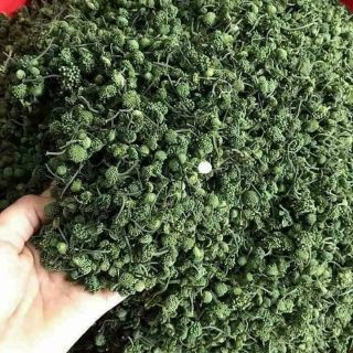 Sỉ như lẻ 1kg nụ tam thất bao tử