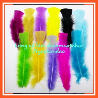 Lông vũ làm dreamcatcher