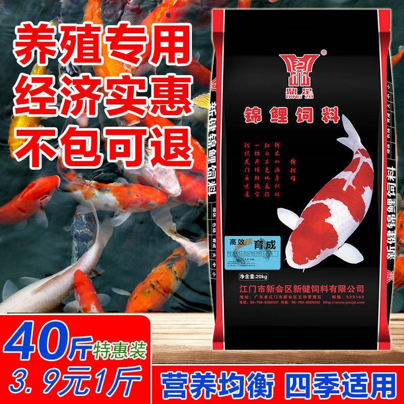 Koi Fish Food Grain Home Nuôi cá Koi Feed Feed Partical Nâng cao phổ quát Làm vôi vàng Goldjin Grain Grain Bán buôn