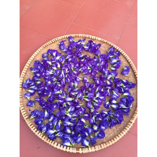 (xuanhai001)hoa đậu biếc khô