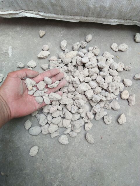 1kg đá núi lửa  Indonesia Trồng Hoa Lan