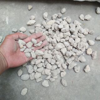 1kg đá núi lửa ( đá bọt) Indonesia Trồng Hoa Lan