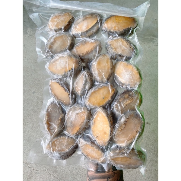 Bào Ngư Hàn Quốc size 1kg~20 con