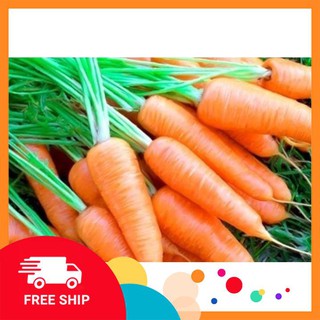 gói 10 gr giống cà rốt