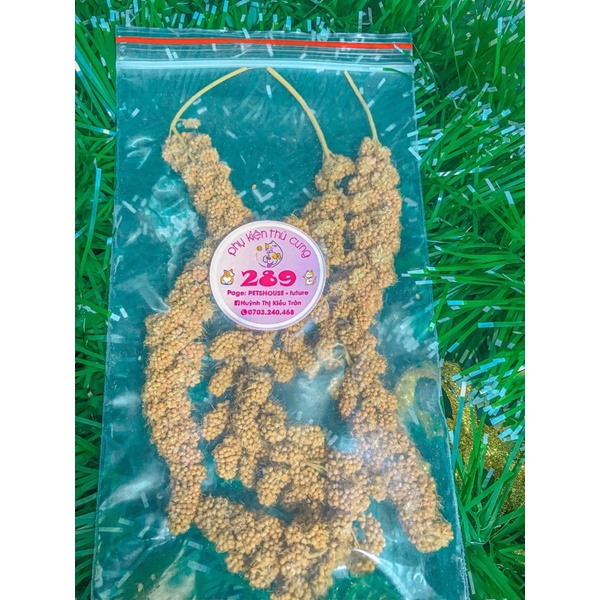 Kê sợi/kê chùm cho hamter/ăn vặt hamter