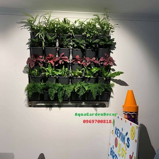 Bộ trồng cây treo tường 36 chậu