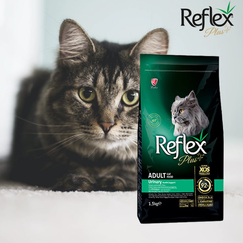 Reflex Adult, Kitten Plus Cat Food Thổ Nhĩ Kỳ - Thức Ăn Hạt Khô Cho Mèo Con Và Mèo Trưởng Thành