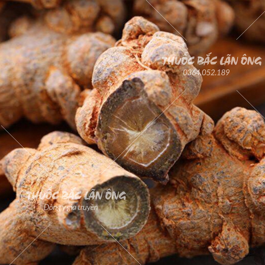 Củ tam thất bắc 1kg (Loại to 5 củ/lạng, bồi bổ sức khỏe, tăng cường trí nhớ)
