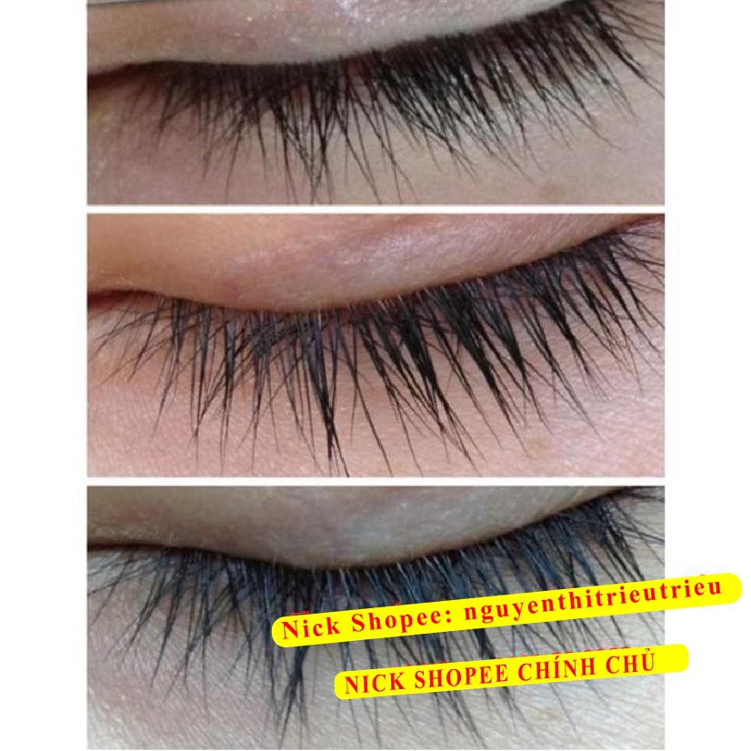 [100% Chính Hãng] Tinh Dầu Dài mi Marroc, rậm lông mày, Serum Dài mi Marroc, Kích thích mọc lông mi, lông mày, Dưỡng dài | BigBuy360 - bigbuy360.vn