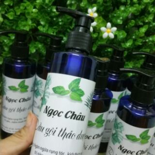Dầu gội thảo dược Ngọc Châu