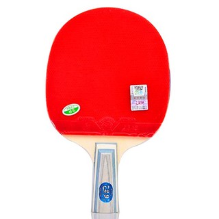 Vợt Bóng Bàn 729-1060