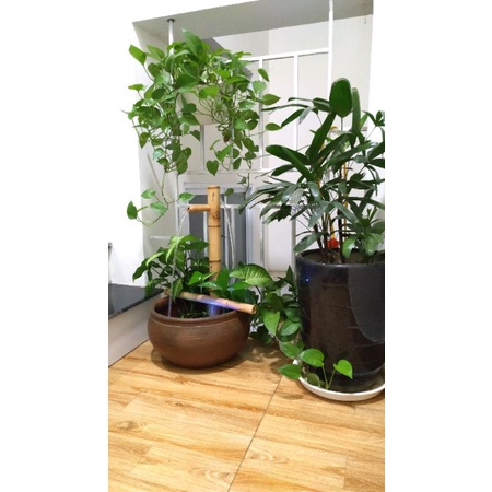 Xỉ thác tre + bơm - mẫu 06