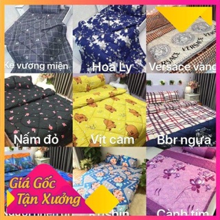 (HÀNG HÓT) Bộ chăn ga gối hè đủ bộ ( 5 món)