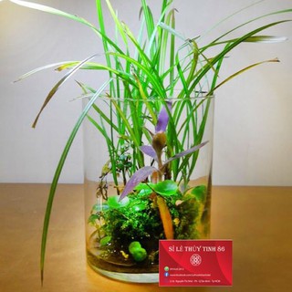 Bình cắm hoa thủy tinh, bình bông 20 x30n