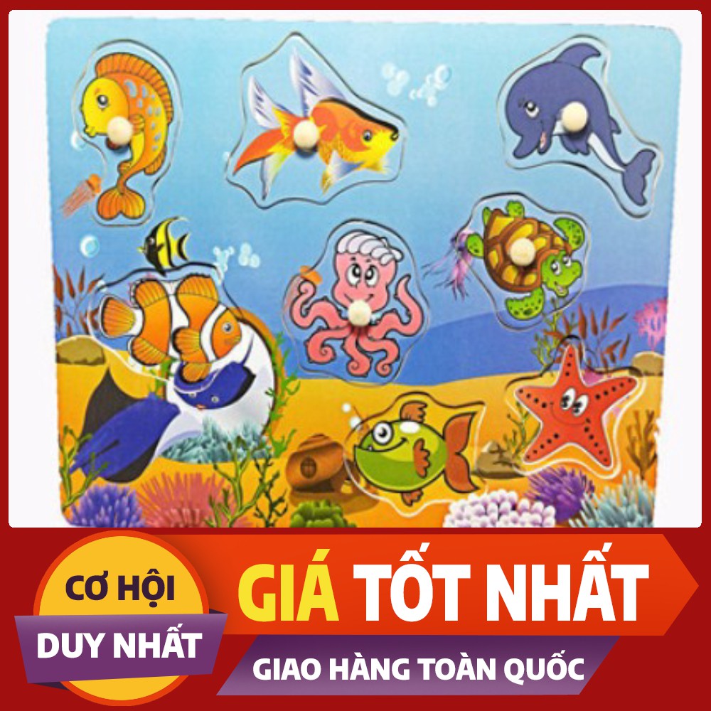 Đồ chơi gỗ cho bé Bảng chữ cái Tiếng Anh có núm gỗ - 26 chữ cái