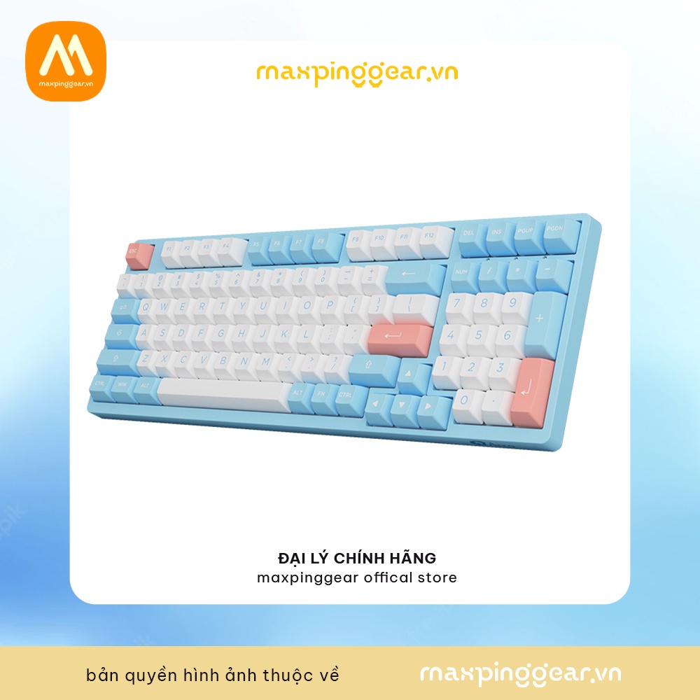 Bàn phím cơ AKKO 3098B Multi-modes Doll of the Princess (Bluetooth 5.0 / Wireless 2.4Ghz / Hotswap / Foam tiêu âm / AKKO