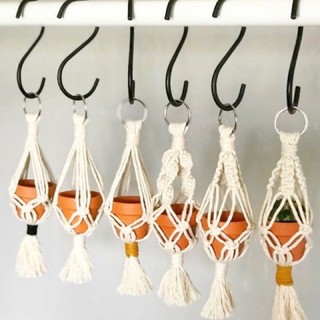 Dây treo chậu cây mini nhiều kiểu Macrame, chậu gốm bán riêng.