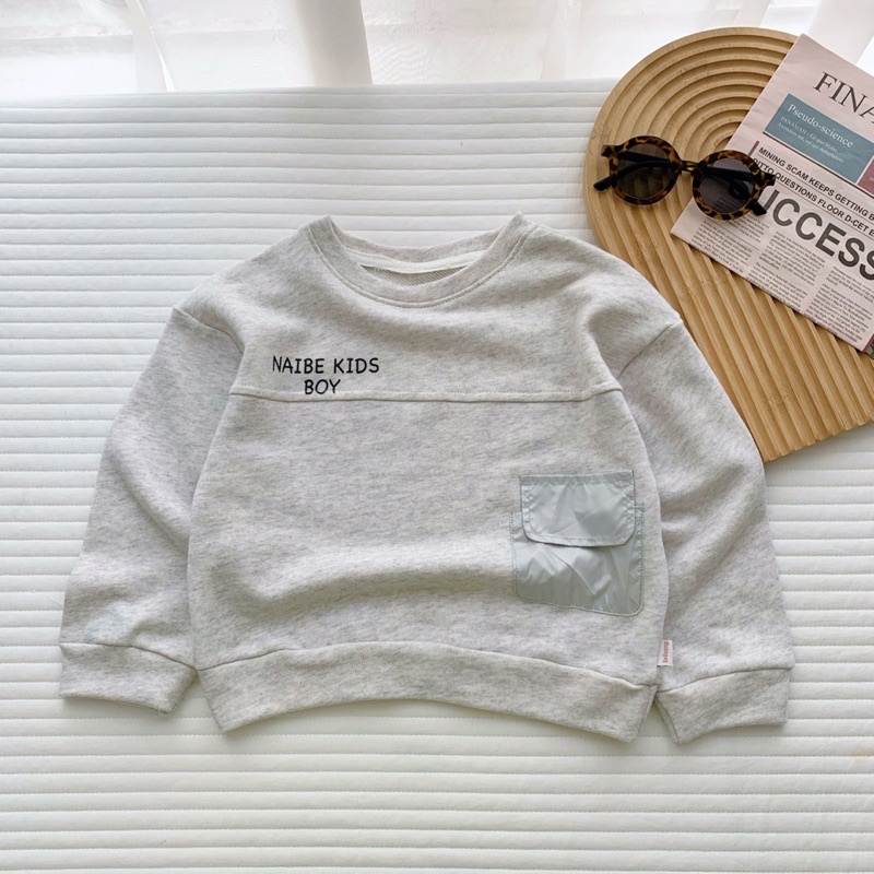 Áo thu đông dài tay nỉ da cá cho bé trai mặc đi học đi chơi