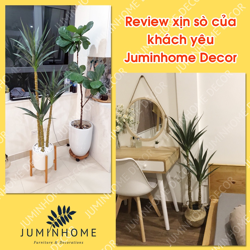 Cây giả, thiết mộc lan giả, phát tài núi - Cây giả decor trang trí nhà cửa nội thất phòng khách phòng ngủ