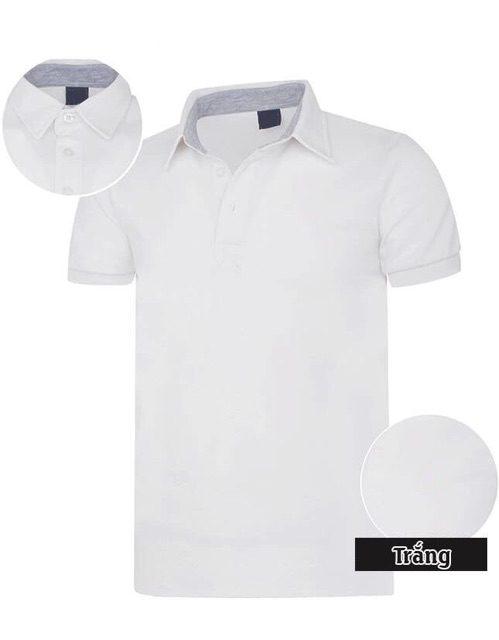 [Free ship] combo áo thun cá sấu nam ( ib chọn màu size ) | BigBuy360 - bigbuy360.vn