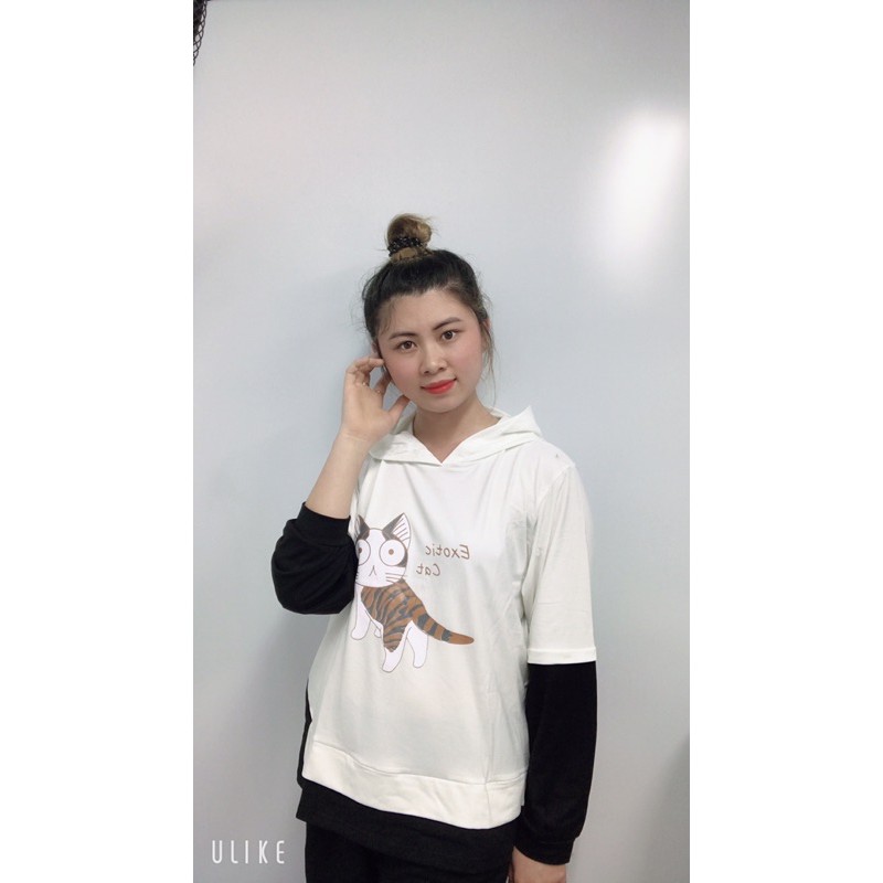Áo hoodie Unisex họa tiết mèo đáng yêu năng động.  M3 | BigBuy360 - bigbuy360.vn