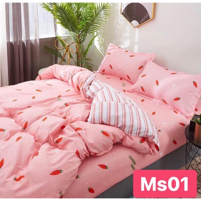 Bộ chăn ga giường 10 bộ