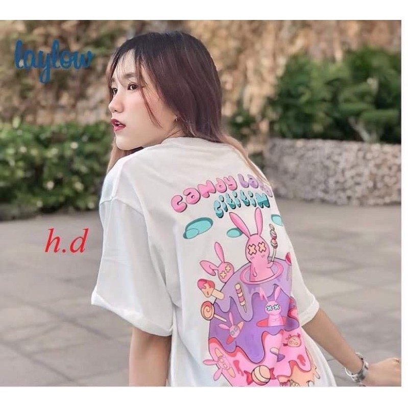 Áo thỏ Candy HĐ12